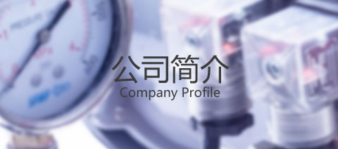 企業簡介